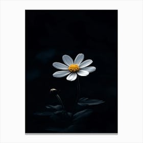 Daisy 9 Canvas Print