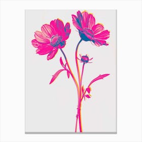 Hot Pink Oxeye Daisy 3 Canvas Print