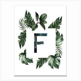 Botanical Alphabet F Canvas Print