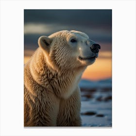 Polar Bear 5 Canvas Print