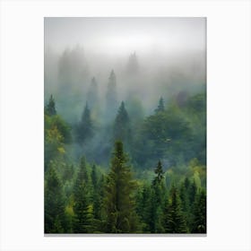 Misty Forest 4 Canvas Print