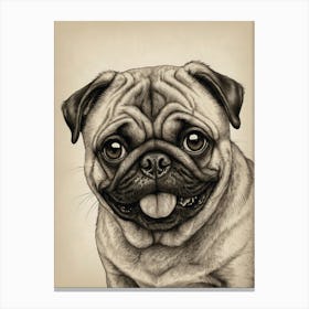 Pug Dog Drawing Canvas Print