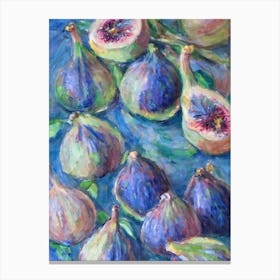 Fig Classic Fruit Canvas Print