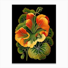 Nasturtium Floral 2 Botanical Vintage Poster Flower Canvas Print