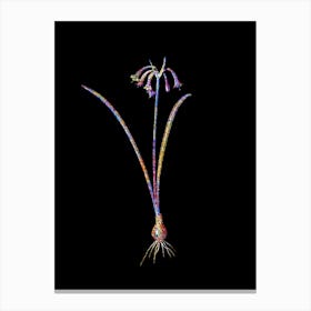 Stained Glass Brandlelie Mosaic Botanical Illustration on Black n.0198 Canvas Print