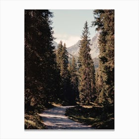 Analog Forest Canvas Print