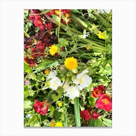 Wildflowers Canvas Print