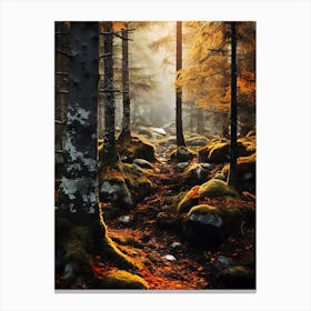 Autumn Forest 2 Canvas Print