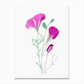 Sweet Pea Floral Minimal Line Drawing 3 Flower Canvas Print