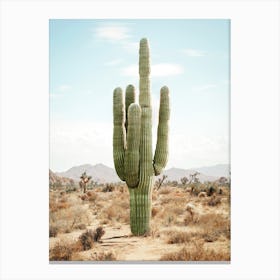 Cactus Life Canvas Print