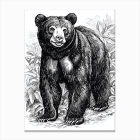 Malayan Sun Bear Standing In A Forests Ink Illustration 4 Canvas Print