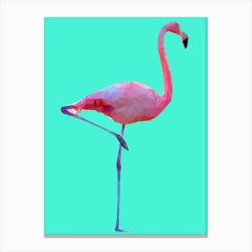 Flamingo Mint Canvas Print