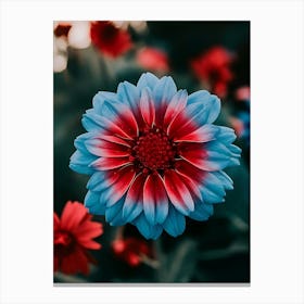 Blue And Red Flower Canvas Print