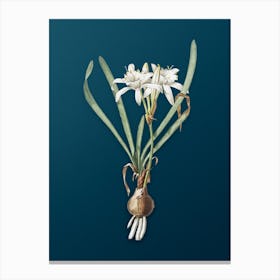 Vintage Sea Daffodil Botanical Art on Teal Blue n.0909 Canvas Print