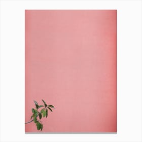 I Just Came To Say Hello Canvas Print