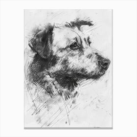Pyrenean Shepherd Dog Charcoal Line 2 Canvas Print