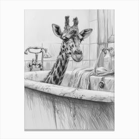 Giraffe In The Bath Pencil Drawing 3 Canvas Print