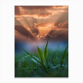 Sunset Over Grass Canvas Print