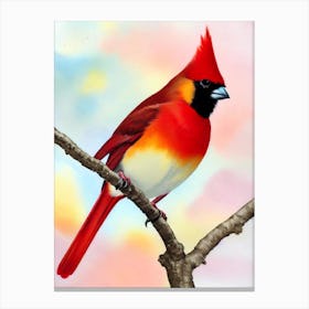 Cardinal Watercolour Bird Canvas Print