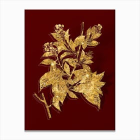 Vintage American Bittersweet Botanical in Gold on Red n.0262 Canvas Print