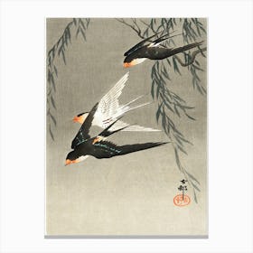 Three Red Tailed Swallows In Dive (1900 1930), Ohara Koson Canvas Print
