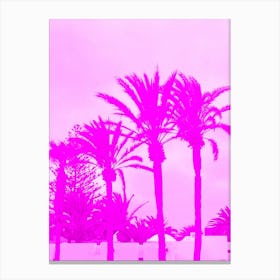 Pink Palm Trees Canvas Print