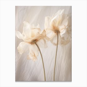 Boho Dried Flowers Tulip 6 Canvas Print