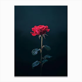 Single Red Rose 3 Canvas Print