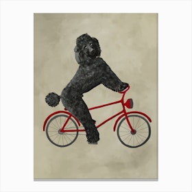 Poodle On Bicycle Canvas Print