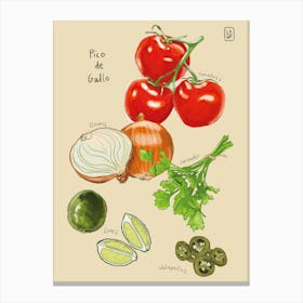 Pico de Gallo  Canvas Print