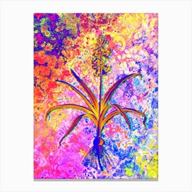 Scilla Patula Botanical in Acid Neon Pink Green and Blue n.0300 Canvas Print
