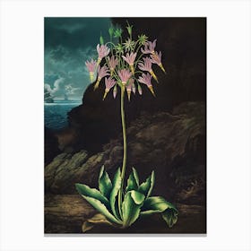 Flower Of The Sea Canvas Print