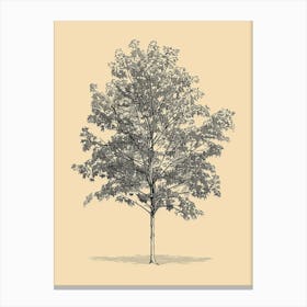 Maple Tree Minimalistic Drawing 1 Canvas Print