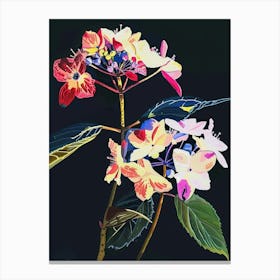 Neon Flowers On Black Hydrangea 3 Canvas Print
