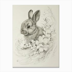 Polish Rabbit Drawing 2 Canvas Print