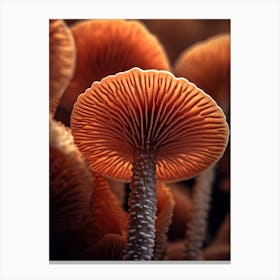 Mushroom Photography 10 Canvas Print
