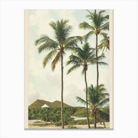 Anse De Grande Saline 2 St Barts Vintage Canvas Print