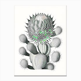 Acanthocalycium Cactus William Morris Inspired 1 Canvas Print