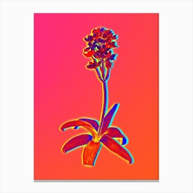 Neon Sun Star Botanical in Hot Pink and Electric Blue n.0060 Canvas Print