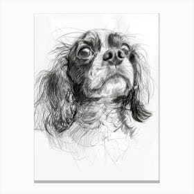 English Toy Spaniel Dog Charcoal Line 1 Canvas Print
