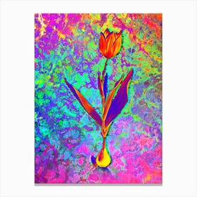 Tulip Botanical in Acid Neon Pink Green and Blue n.0330 Canvas Print