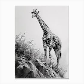 Giraffe On The Cliff Edge Pencil Drawing 2 Canvas Print