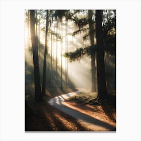 Sunrise In The Forest 3 Canvas Print