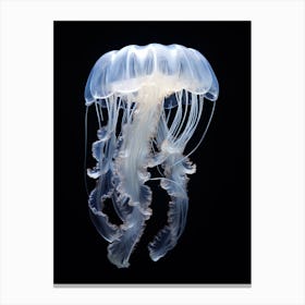 Sea Nettle Jellyfish Ocean Realistic 7 Canvas Print