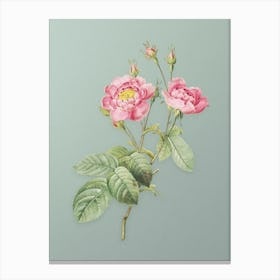 Vintage Anemone Centuries Rose Botanical Art on Mint Green n.0024 Canvas Print