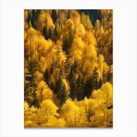 Autumn Forest 80 Canvas Print