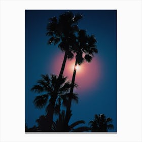 Palm Tree Photography Print 'Deia' Canvas Print