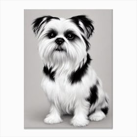 Shih Tzu B&W Pencil dog Canvas Print
