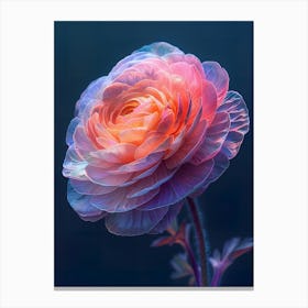 Peony Flower Canvas Print