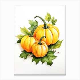 Miniature Pumpkin Watercolour Illustration 4 Canvas Print